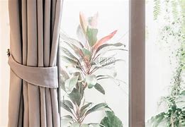 多米官网入口 -菲尼克斯不明飞行物